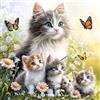 MAXBYE 5D DIY Diamond Painting Kit Completo Animale, Famiglia Gatti Pittura Diamante Fai da Te Adulti, Diamond Art Strass Ricamo a Punto Croce Painting per Decorazioni Casa Craft Arts Regalo 30x30cm
