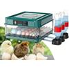 Betuyoo 220V 24/36 Uova Incubatrice Allevatrice Uccello Quaglia Pulcino Uova Fattoria Hatcher Automatico Fattoria Strumenti di Incubazione Pollame Hatcher Turner