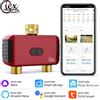 Giexperience Timer per Irrigazione Smart WiFi a Doppia Zona, Nessun Hub Richiesto, Controllore per Irrigazione Giardino, Valvola per Irrigazione a Goccia e a Spruzzo, Compatibile con Alexa e Alice Google