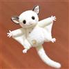 NONE Portachiavi Peluche a Forma di Pappagallo Volante, Morbido Ciondolo per Borsa, Regalo Kawaii a Forma di Animale