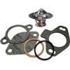 PARTSDEPOT Kit termostato a 140° e manicotto in ottone compatibile con Mercruiser V6 V8 4.3 5.0 5.7 7.4 807252Q4