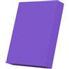 PciDinFo Generic Ginocchiera Antiscivolo Portatile, Attrezzo per Esercizi di Equilibrio, Tappetino per Ginnastica E Pilates Indoor, Viola