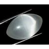 Naturale Taglio Marquise Cabochon 20.05 KT Bianco Gatto Occhio Gemma Certificato
