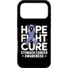 Stomach Cancer Warrior Gifts for Women a Custodia per iPhone 17 Pro Max Consapevolezza del cancro allo stomaco Pervinca Novembre Cancro allo stomaco