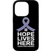 Stomach Cancer Warrior Gifts for Women a Custodia per iPhone 14 Pro Consapevolezza del cancro allo stomaco Pervinca Novembre Cancro allo stomaco