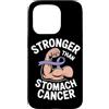 Stomach Cancer Warrior Gifts for Women a Custodia per iPhone 15 Pro Consapevolezza del cancro allo stomaco Pervinca Novembre Cancro allo stomaco