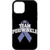 Stomach Cancer Warrior Gifts for Women a Custodia per iPhone 12 mini Consapevolezza del cancro allo stomaco Pervinca Novembre Cancro allo stomaco