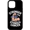 Stomach Cancer Warrior Gifts for Women a Custodia per iPhone 12 Pro Max Consapevolezza del cancro allo stomaco Pervinca Novembre Cancro allo stomaco