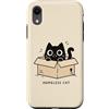 Homeless Cat Custodia per iPhone XR Homeless Cat Box Gatto Divertente Gattino Carino Gatto Nero