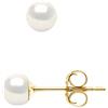 PEARLS & COLORS - Orecchini Vere Perle di Coltura di Acqua Dolce - Colore Bianco Naturale - Qualità AAA+ - diverse misure disponibili - Oro Giallo - Gioeillo Donna