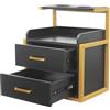 OUKANING Armadio da parete, portata 50 kg, pensile con 2 cassetti e scomparto aperto, supporto per asciugacapelli, 40 x 30 x 48 cm, moderno armadietto per salone, spa e bagno (oro + nero)