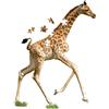 Madd Capp Carletto Deutschland Puzzle Contour 100 I am Lil - Giraffa