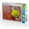 CALVENDO Puzzle SPORT incontra SPLASH - Tennis | 1000 pezzi Dimensioni da comporre 64x48 cm Puzzle fotografico per ore di divertimento
