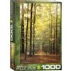 Empireposter puzzle da 1000 pezzi - Puzzle - Sentiero della foresta illuminato dal sole + cornice in alluminio per puzzle da 1000 pezzi