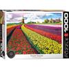 Empireposter puzzle da 1000 pezzi - Puzzle - Campo di tulipani in Olanda + Cornice in alluminio per puzzle da 1000 pezzi