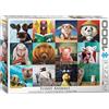 Empireposter puzzle da 1000 pezzi - Puzzle - Lucia Heffernan - Animali divertenti + set di 3 pezzi DeLuxe Accessori per puzzle
