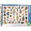 Empireposter puzzle da 500 pezzi - Puzzle - Gattino yoga + set di 3 accessori per puzzle DeLuxe
