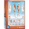 Empireposter puzzle da 1000 pezzi - Puzzle - Il corpo umano + set DeLuxe di 3 accessori per puzzle