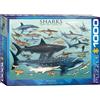 Empireposter puzzle da 1000 pezzi - Puzzle - Squali degli oceani + Puzzle cornice in alluminio per 1000 pezzi