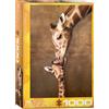 Empireposter puzzle da 1000 pezzi - Puzzle - Giraffa con bambino - il primo bacio + set di 3 accessori per puzzle DeLuxe