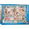 Empireposter puzzle da 1000 pezzi - Puzzle - Collezione di conchiglie marittime + cornice in alluminio per puzzle da 1000 pezzi