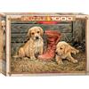 Empireposter puzzle da 1000 pezzi - Puzzle - Cuccioli di cane nella fattoria + set di 3 accessori per puzzle DeLuxe