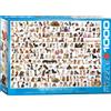 Empireposter puzzle da 1000 pezzi - Puzzle - Mondo cane + set di 3 accessori per puzzle DeLuxe