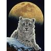 Grafika Puzzle Moon Leopard - Schim Schimmel - Gioco di puzzle da 2000 pezzi