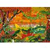 Pieces & Peace Pezzi & Pace Puzzle Golden Conure - Giocattolo colorato da 1000 pezzi