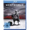Warner Bros (Universal Pictures) Westworld - Staffel 2 - Repack (Blu-ray) Ed Harris Evan Rachel Wood