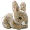 Carl Dick Peluche, Lepre, beige, seduta, 17cm 2755001
