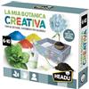 Headu La Mia Botanica Creativa Fiori da coltivare, esperimenti per colorarli! IT57137 Gioco Educativo Per Bambini 6-10 Anni Made In Italy