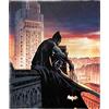 Northwest DC Comics Batman Silk Touch Coperta da tiro 127 x 152 cm, Orologio Cavaliere