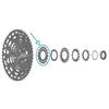 SHIMANO CS-Lg700 Pignone Silver/Black One Size