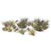 Plant in a Box - Miscela di piante di Tillandsia - Set di 24 - Piante aeree vere - Piante da appartamento - Altezza 5-15cm