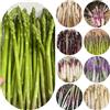 Generic semi di asparagi selvatici, balcone varietà antiche, giardino esterno, resistenti 120pcs