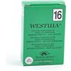 Vegetal Progress Westuia - olio essenziale di Thuja occidentalis - Vegetal Progress