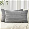 Topfinel Federe de Cuscini 30x50 in Velluto a Coste per Divano Grigio Chiaro Copricuscini Quadrati Elegante Decorativa per Salotto Moderno Cuscino Cerniera Invisibile per Camera da Letto Set 2 Pezzi