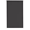 Estoralis | GOVE | Tenda a rullo | Nessuna perforazione Traslucido tinta unita | Antracite | 40 x 180 cm (larghezza/altezza) dimensione del tessuto 37 x 175 cm | Tende per finestre e porte