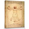 1art1 Leonardo da Vinci Poster Stampa Artistica su Tela Uomo Vitruviano, 1490 Circa Quadro da Parete sulla Barella | Murale XXL | Immagine 50x40 cm