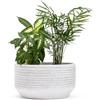 Vimin Box Grande e Elegante VASO in Terracotta | Vaso Decorativo Moderno per Piante, Fiori, Piante grasse, Piccoli Alberi | da Interno o Esterno. (Bianco/Grigio, Ø28 - h.15cm)