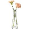 VASANA Vaso di fiori in vetro trasparente realizzato a mano in vetro soffiato per boccioli in vetro vintage a stelo singolo, vaso decorativo in vetro