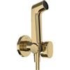 hansgrohe Doccetta bidette S con 1 tipo di getto a risparmio idrico (EcoSmart), incl. valvola d'arresto, supporto doccia e flessibile doccia 1,25 m, per acqua calda, oro lucido, 29232990