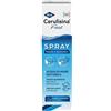 IBSA FARMACEUTICI ITALIA Srl CERULISINA FAST NASO/ORECCHIO SPRAY 100 ML