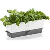 H105349 Burwell Vaso Autoirrigante per Erbe Aromatiche per Interni Triplo, Orto