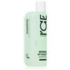 Natura Siberica ICE Professional Refresh My Scalp 250 ml