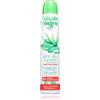Tulipán Negro Aloe Vera Y Jojoba 200 ml