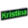 Sertronics Targhetta LED verde Targhetta 11x14 pixel programmabile Custodia USB argento