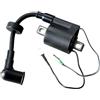 GPJTJROL for Y/a/m/a/h/a for Parsun for Powertec for Seapro 6e0-85570-00 6e0-85570 6e0-85570-10 Bobina di accensione del Motore fuoribordo con Cappuccio 2t 4hp 5hp ECC 5hp