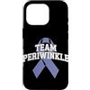 Stomach Cancer Warrior Gifts for Women a Custodia per iPhone 16 Pro Consapevolezza del cancro allo stomaco Pervinca Novembre Cancro allo stomaco